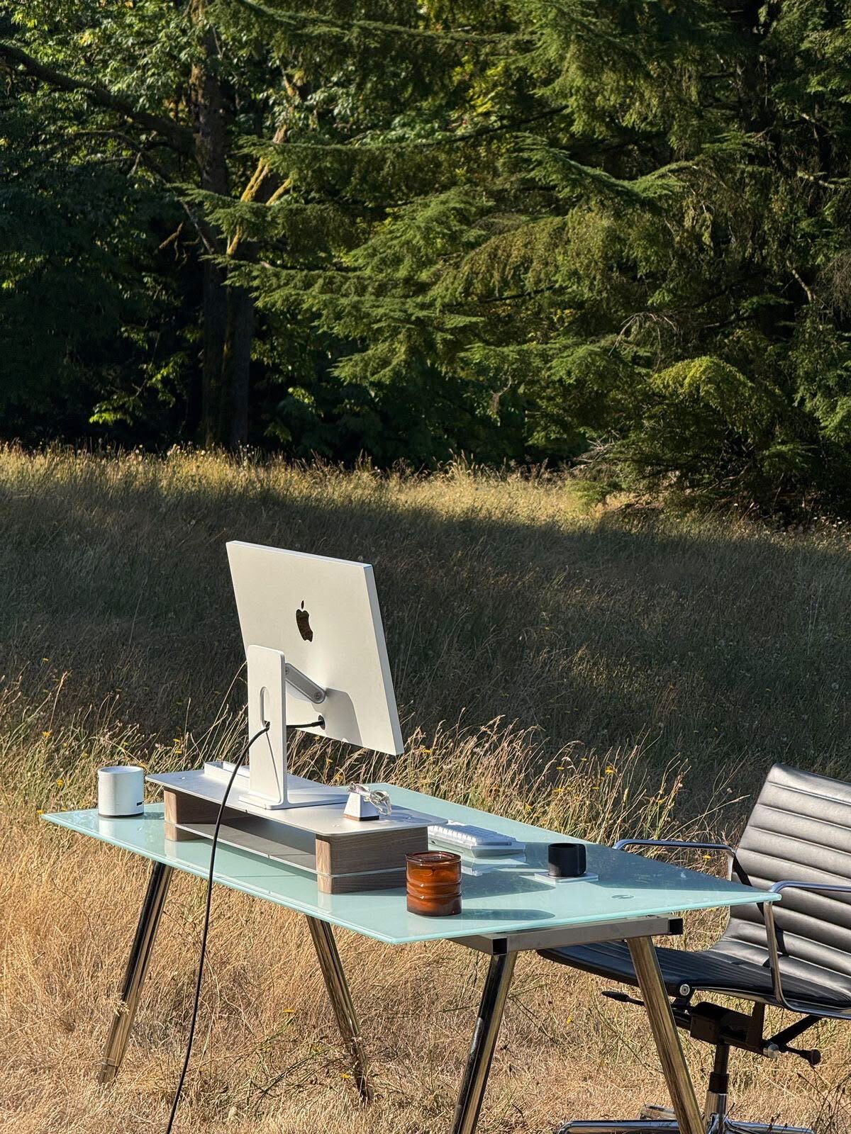 A sleek outdoor workstation with an iMac in a sunny meadow, ready for vibe coding
