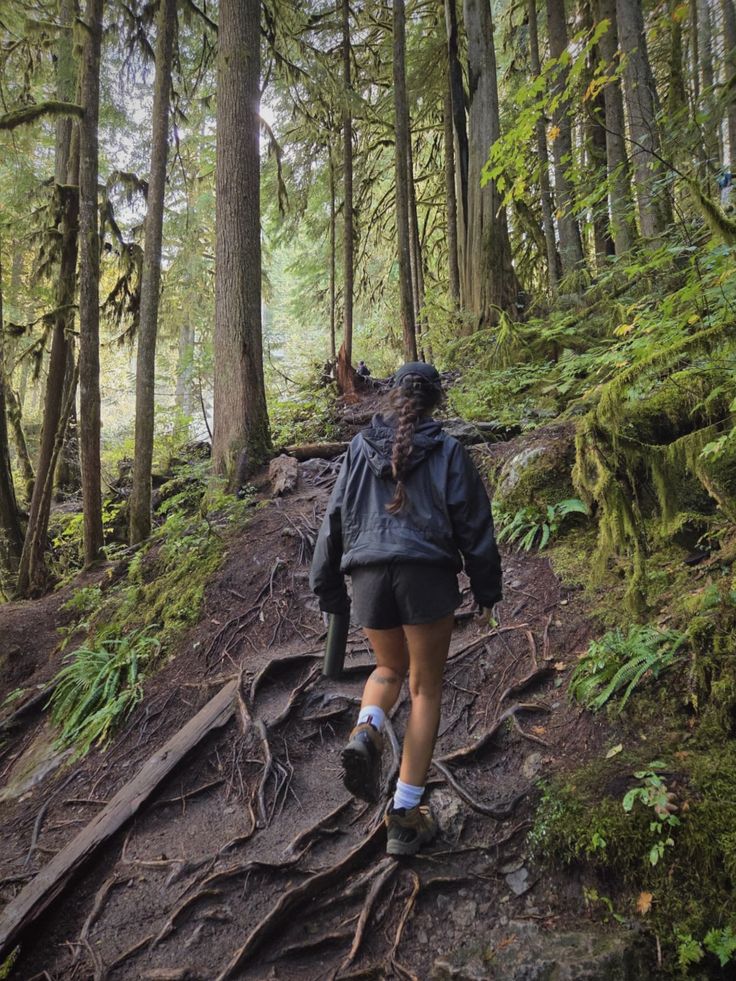 Hiking a mossy forest trail